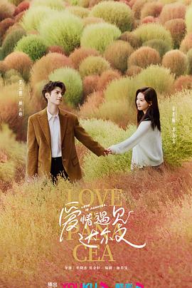 网站的优化哪个好做